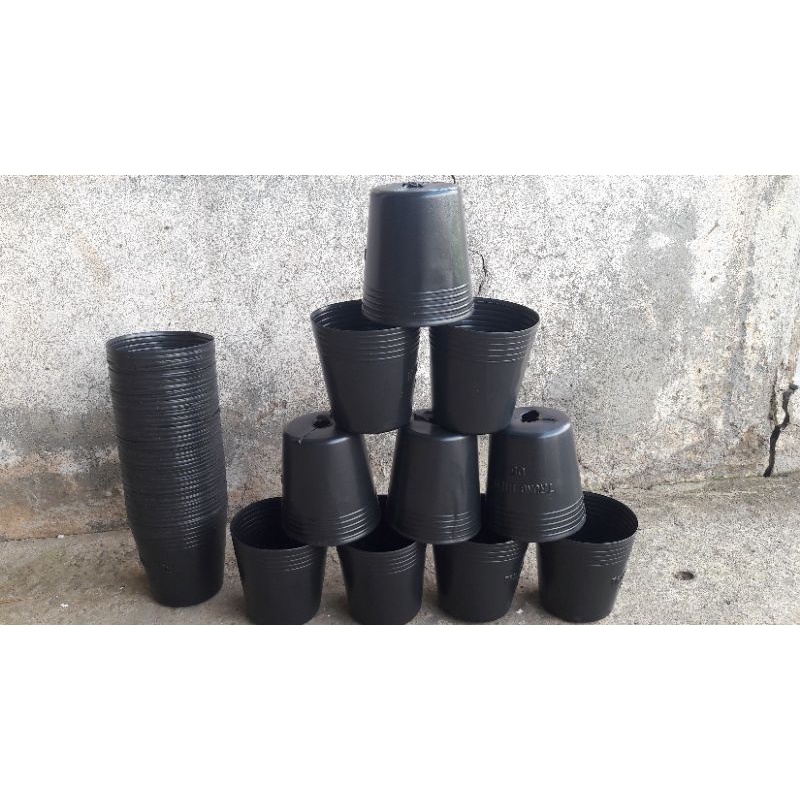 Chậu nhựa trồng sen đá xương rồng ươm cây cảnh