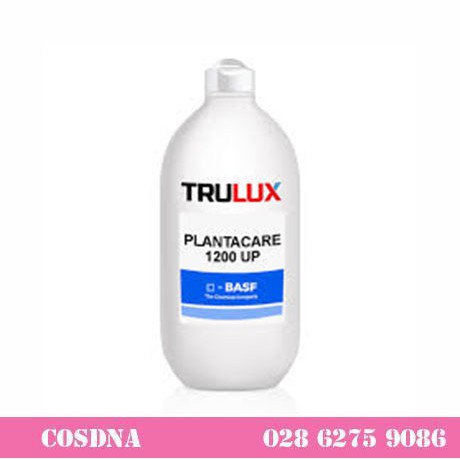 Chất tạo đặc Plantacare 1200 UP - Lauryl Glucoside