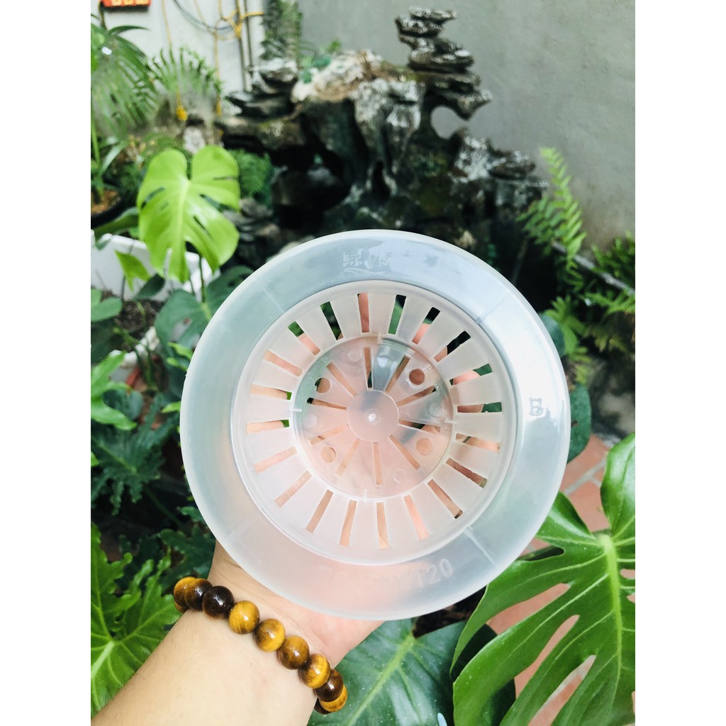 Giỏ lưới thủy canh có 4 kích thước khác nhau đa dạng dùng cho trồng cây trong nhà và ngoài trời