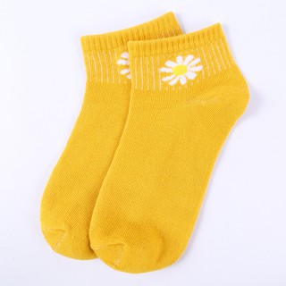 Tất hoa cúc Vớ hoa cúc họa tiết hot trend xinh cực