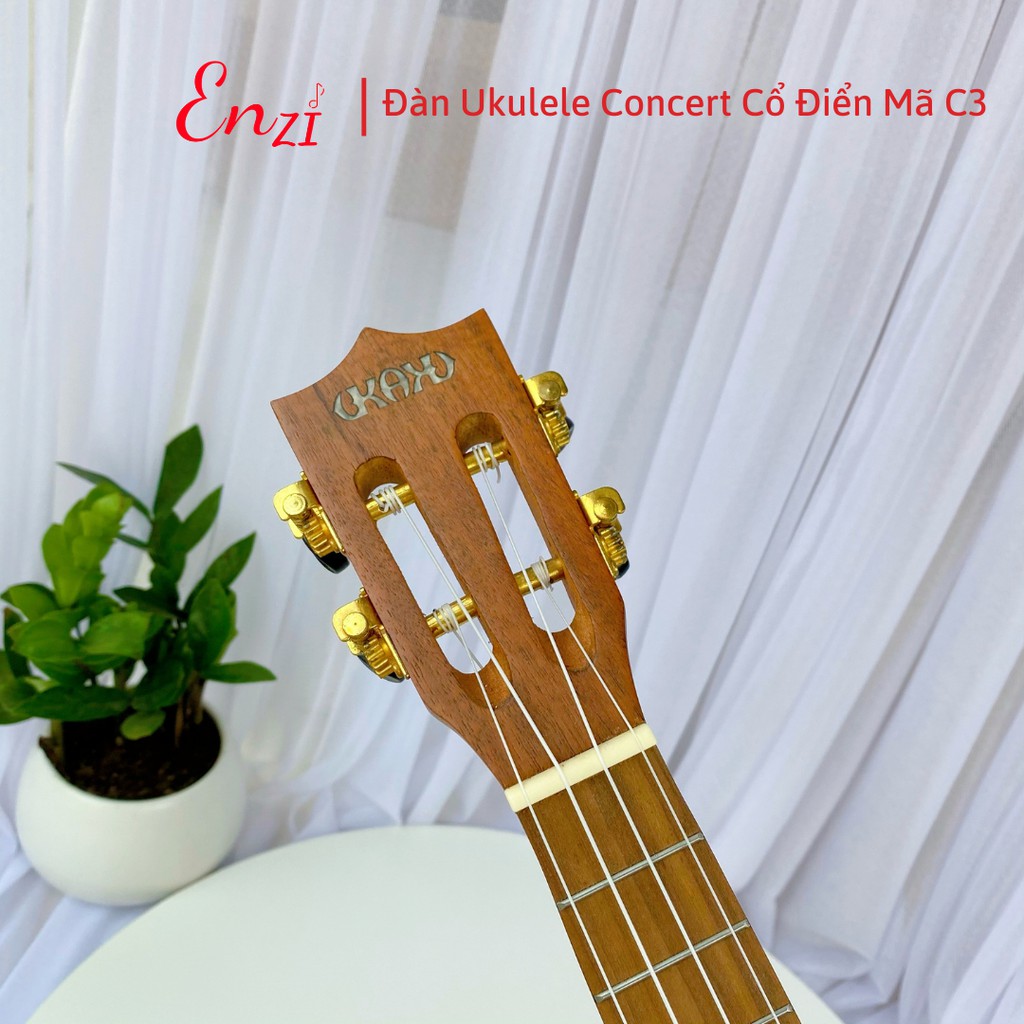 Đàn ukulele concert size 23  mã C3 Enzi kiểu dáng cổ điển khóa xịn, chất lượng âm thanh tuyệt hảo