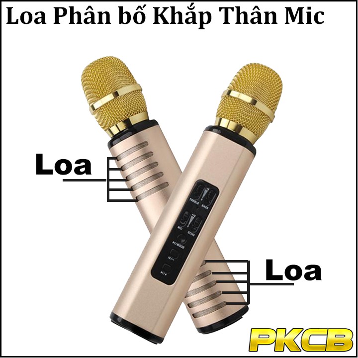 Micro kèm loa karaoke bluetooth Nhập khẩu cao Cấp PKCB204 có khe cắm thẻ Nhớ 3 trong 1