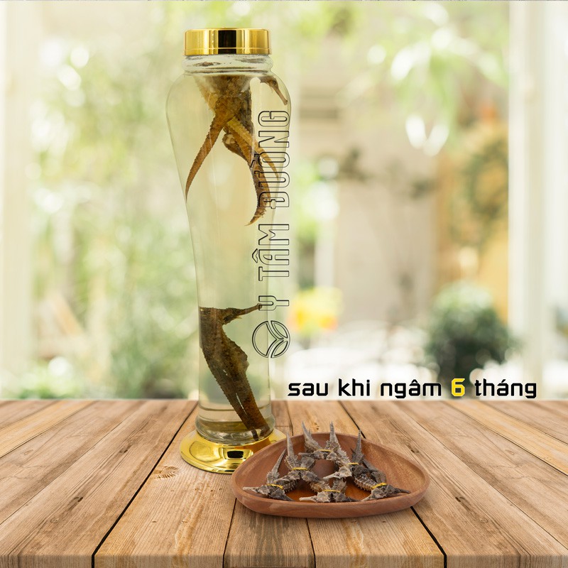 Cá ngựa khô (hải mã) - 1 cặp dài 11cm - Tặng 40g Hồng Sâm mật ong KGS khi mua cá ngựa 2.000.000đ