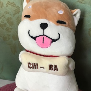 Chó nhồi bông shiba của Anh Nguyên