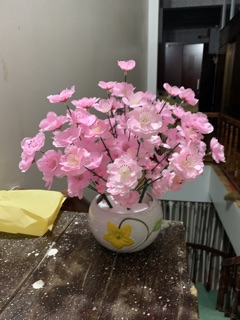 Cành anh đào mini