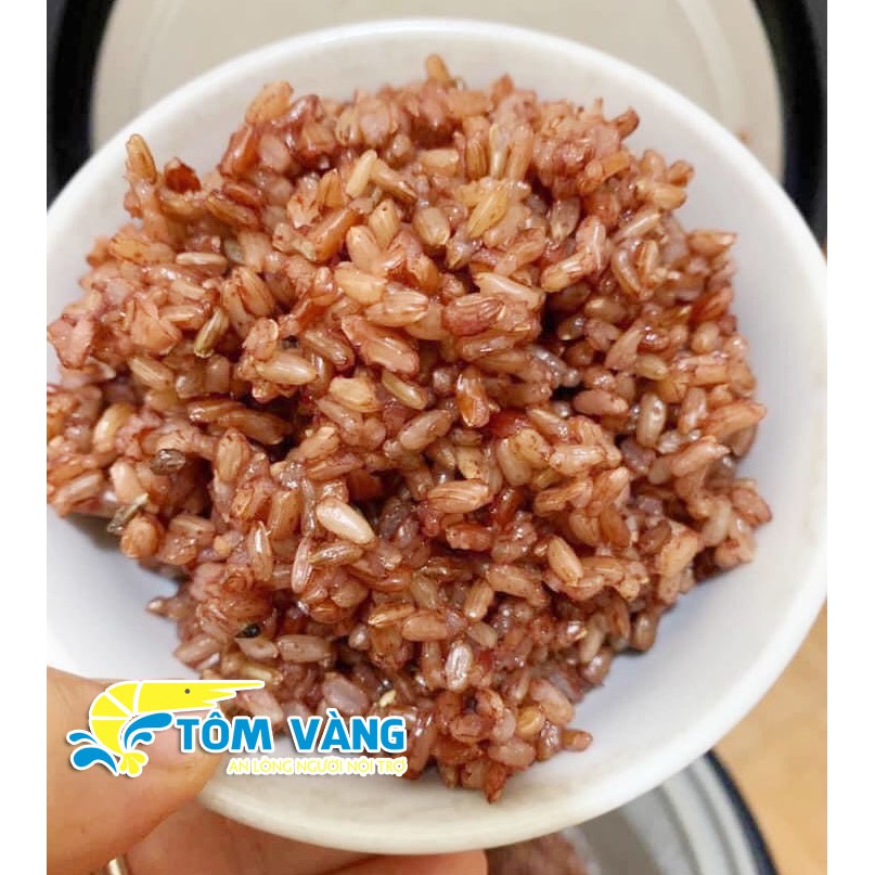 Combo 5kg gạo lứt dẻo Điện Biên (mỗi túi 1kg hút chân không) - tomvangfood | BigBuy360 - bigbuy360.vn