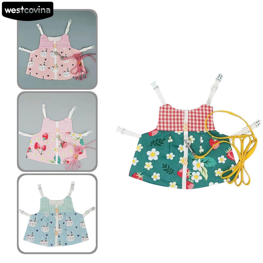 Dây dắt thỏ đi dạo màu sắc rực rỡ