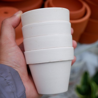 Chậu đất nung trắng size 7x6 có thể vẽ lên