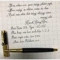 Bút Leta 006 (ngòi mài)