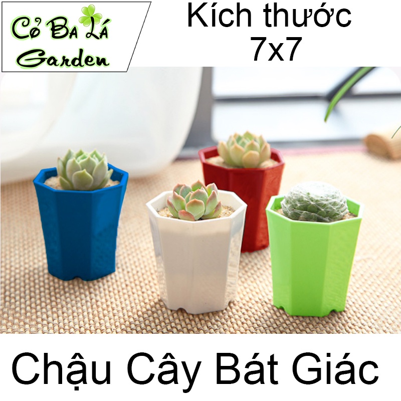 Chậu Nhựa Mini-Hình Bát Giác-trồng sen đá,xương rồng