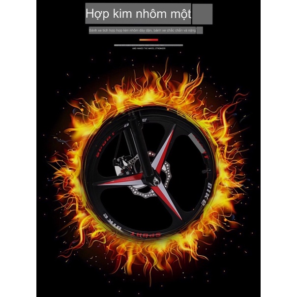 Xe Đạp Gấp 20 icnh Phoenix  sẵn hàng
