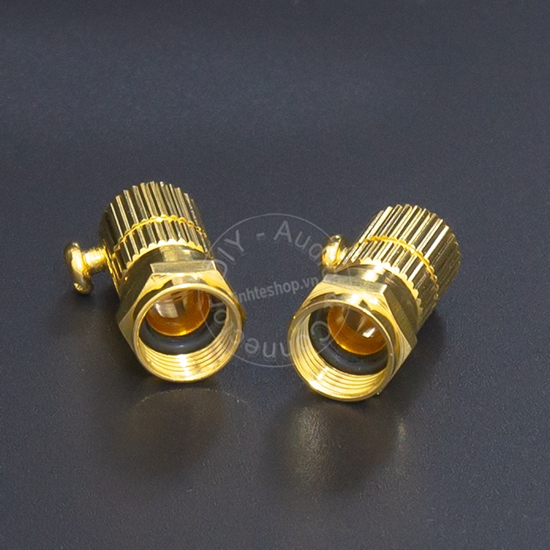 Đầu nối anten TV kèm chuôi vặn- The TV antenna TV signal connector comes with the F5