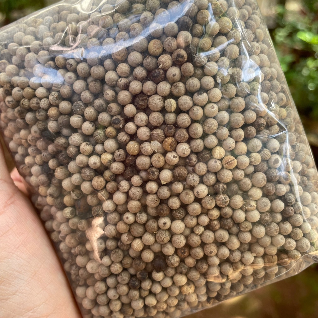 500gr Hạt tiêu sọ mộc DakLak loại ngon