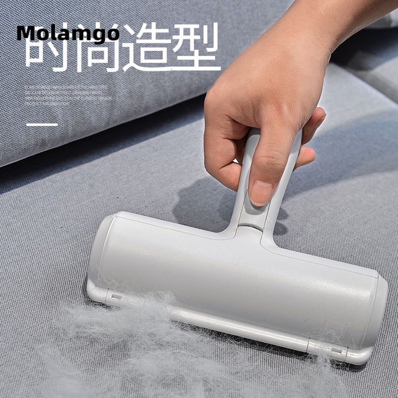 Cây lăn lông chó mèo