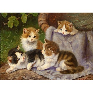 Tranh in canvas VTC LunaCV-0376 - mèo con, 55 x 40 cm