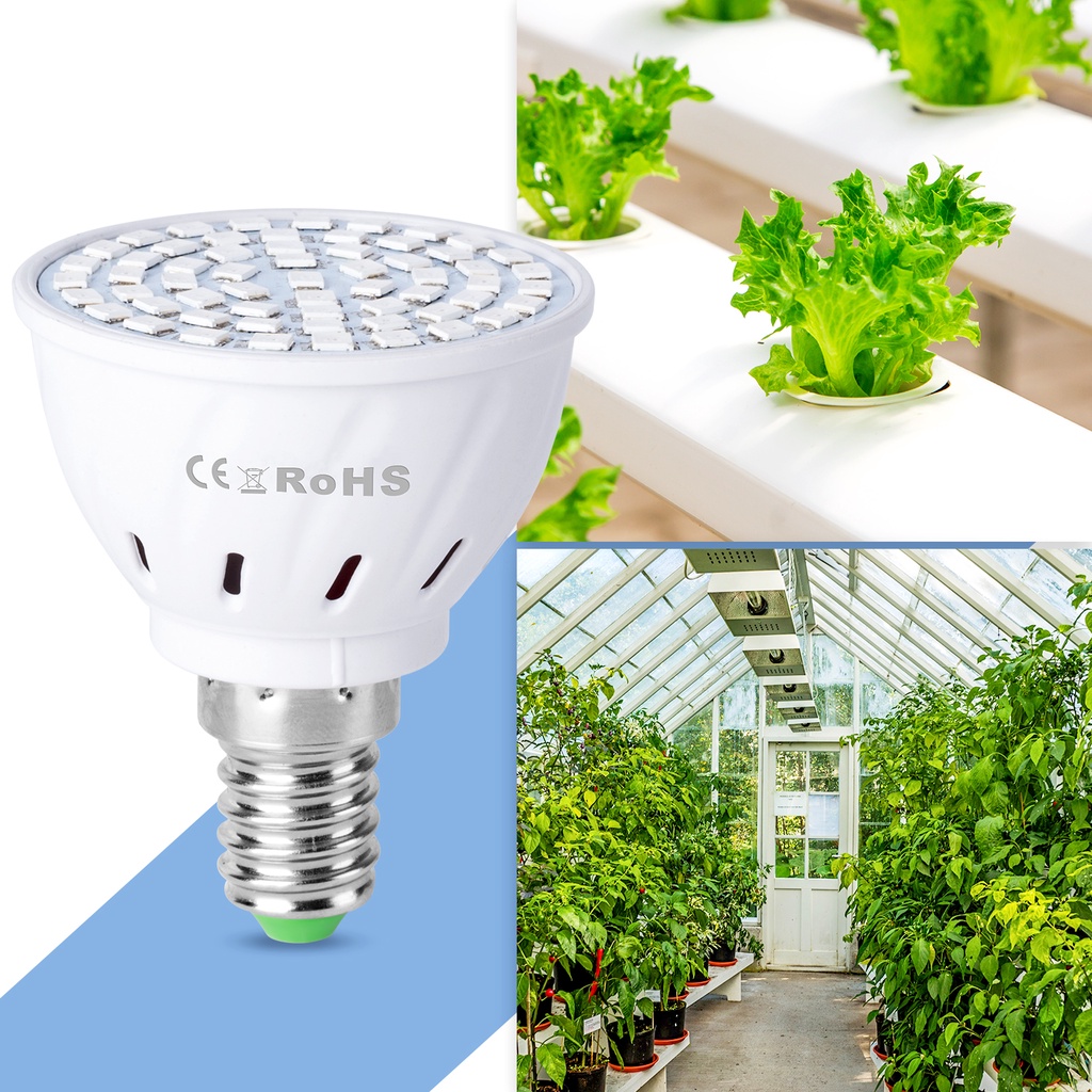Bóng Đèn LED Trồng Cây E27 220V E14 MR16 GU10 48 60 80led