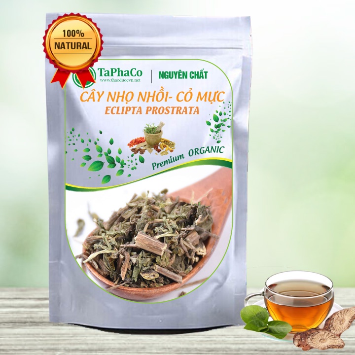 Cây cỏ mực khô (Thơm, Mới), Cây nhọ nồi - Tấn Phát