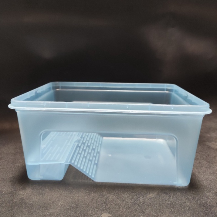 Hồ nuôi rùa chuyên dụng - Bể nuôi rùa và thú bò sát bằng nhựa