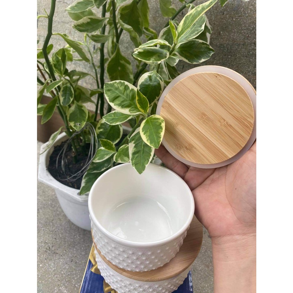 SÉT 2 THỐ SỨ CAO CẤP QUÀ TẶNG SỮA ENSURE GOLD