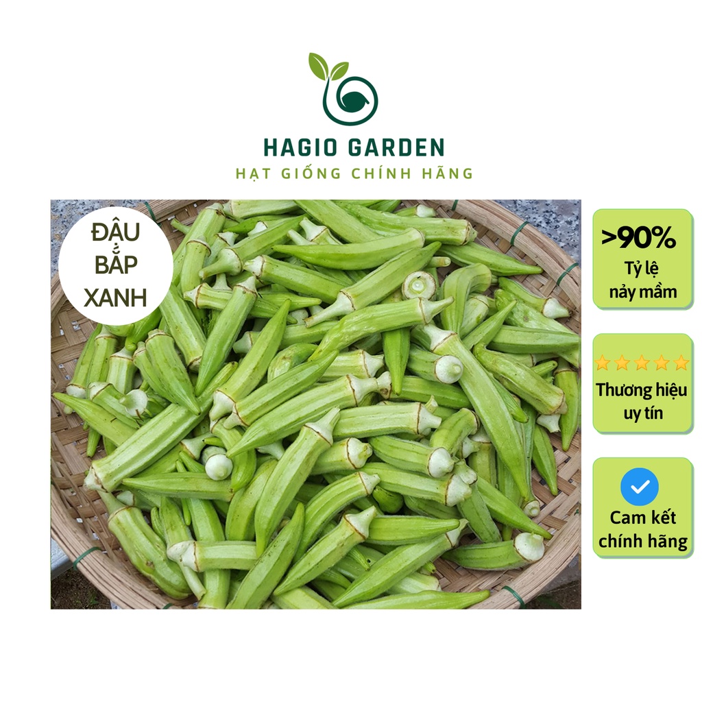 Hạt giống đậu bắp cao sản Rado 60 chính hãng Rạng Đông nhiều quả, hạt giống rau củ quả HAGIO