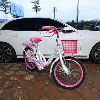 Xe đạp Neo 20-02
