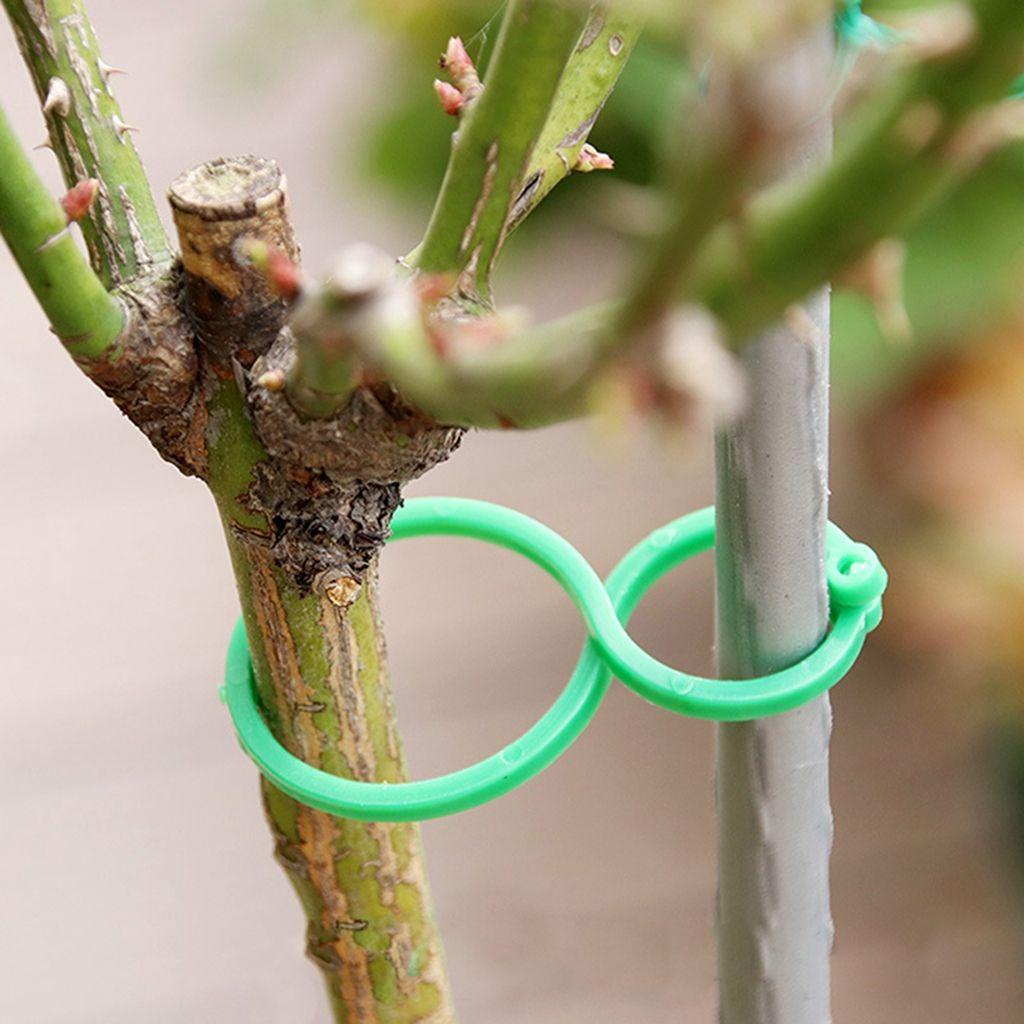 Giá Đỡ Trồng Cây Màu Xanh Lá S / L Độc Đáo Trang Trí Sân Vườn DIY
