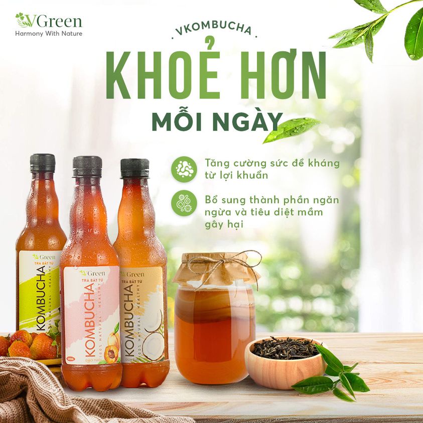 Trà Bất Tử Chill Kombucha XOÀI 1L -  Trà hoa quả lên men con giống scoby - Foodland