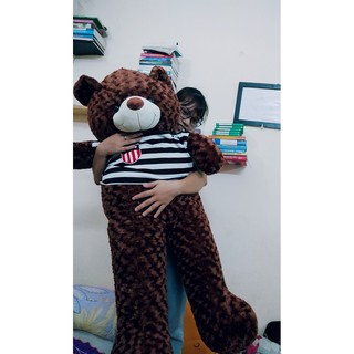 Gấu bông Teddy Cao Cấp khổ vải 1m4 Cao 1,2 màu Nâu hàng VNXK- Best Bear