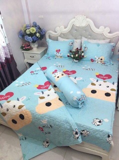 Set ga gối poly trần bông