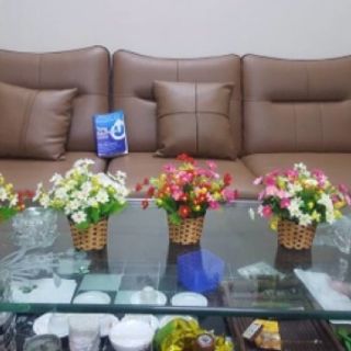 Cúc dại. 12k