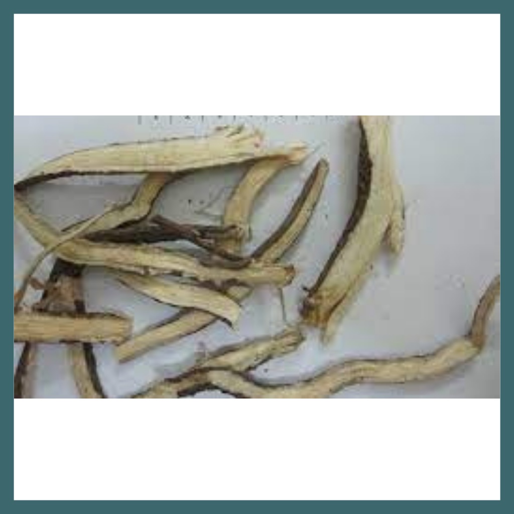 Hà Thủ Ô Trắng Khô Hàng Sạch Đẹp Túi 500g - 1kg