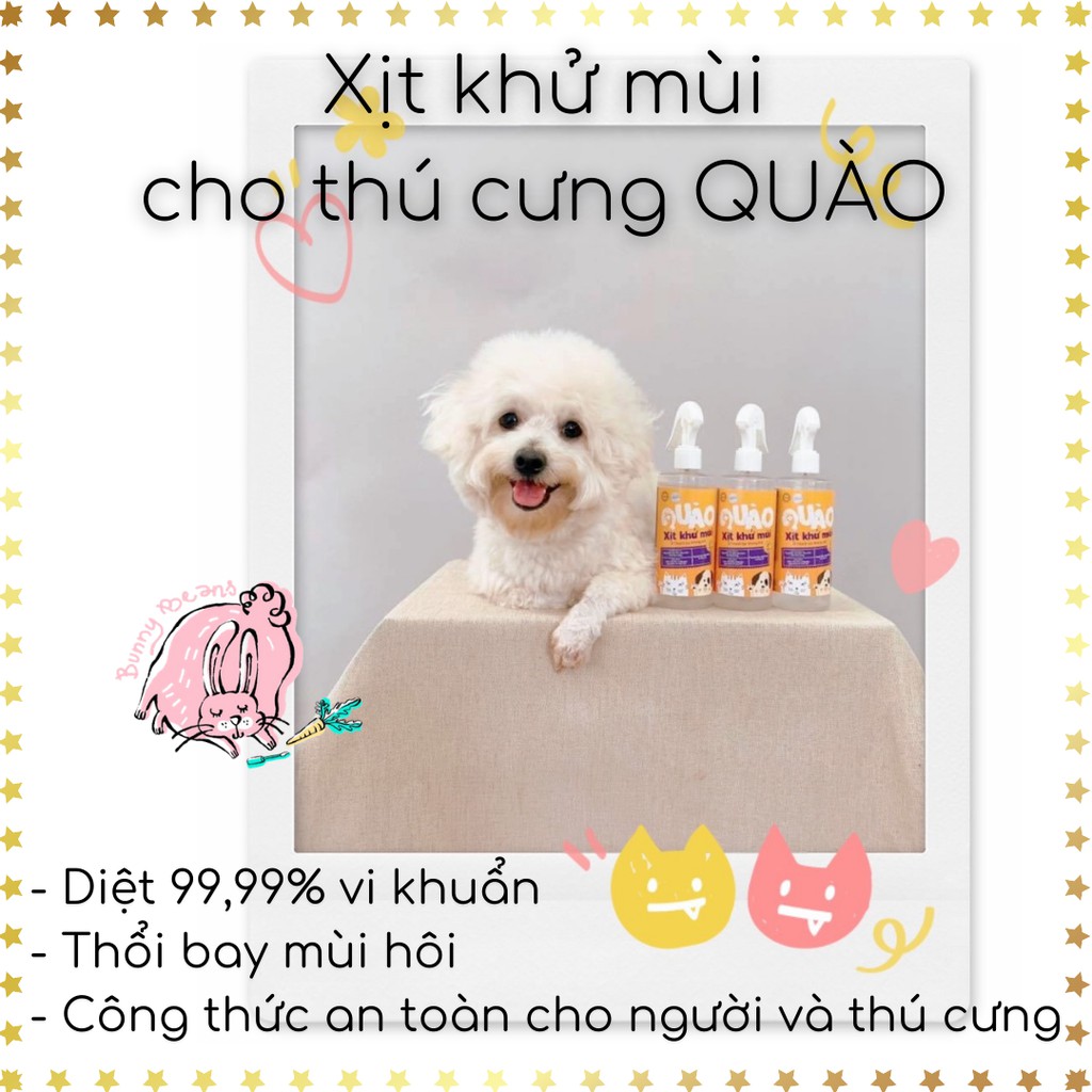 Xịt khử mùi chó mèo QUÀO công thức muối kẽm an toàn (300ml) (Shop Bunny Beans)