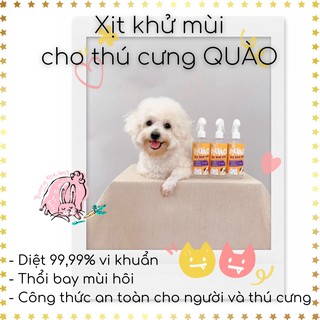 Xịt khử mùi chó mèo QUÀO công thức muối kẽm an toàn (300ml) (Shop Bunny Beans)