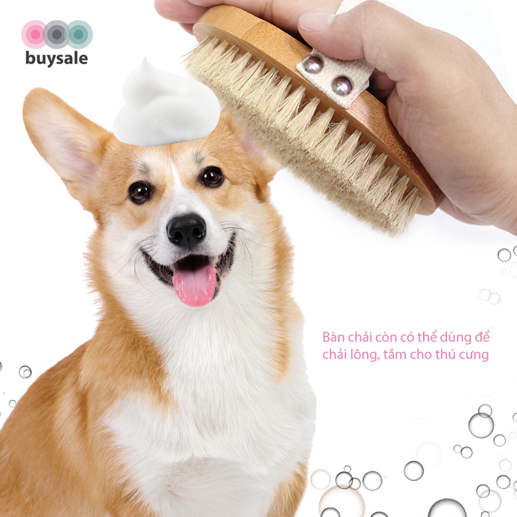 Bàn chải lông heo, cán gỗ sồi cao cấp dùng để massage để tế bào chết - BuySales - BSPK240