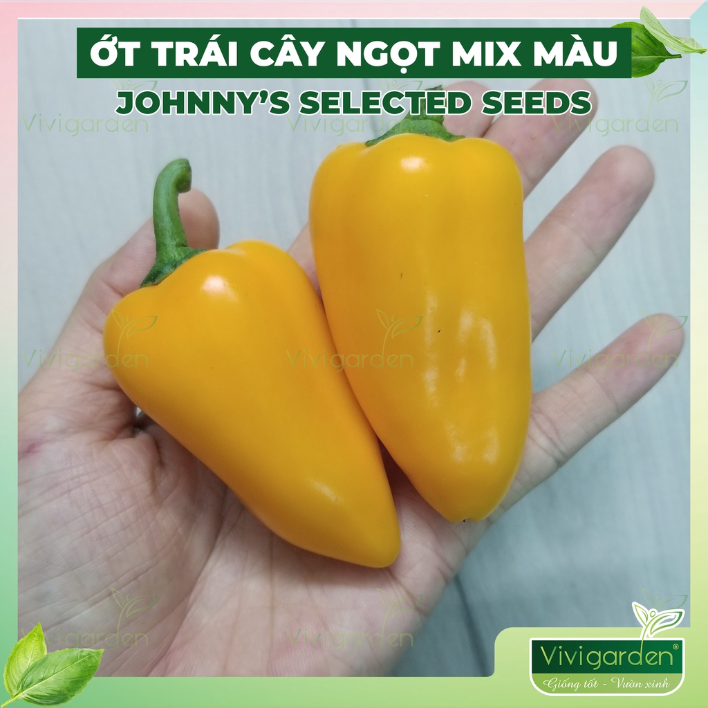 Hũ lẻ 10 hạt giống ớt trái cây ngọt mix màu giống hữu cơ Mỹ Johnny Seeds siêu ngon