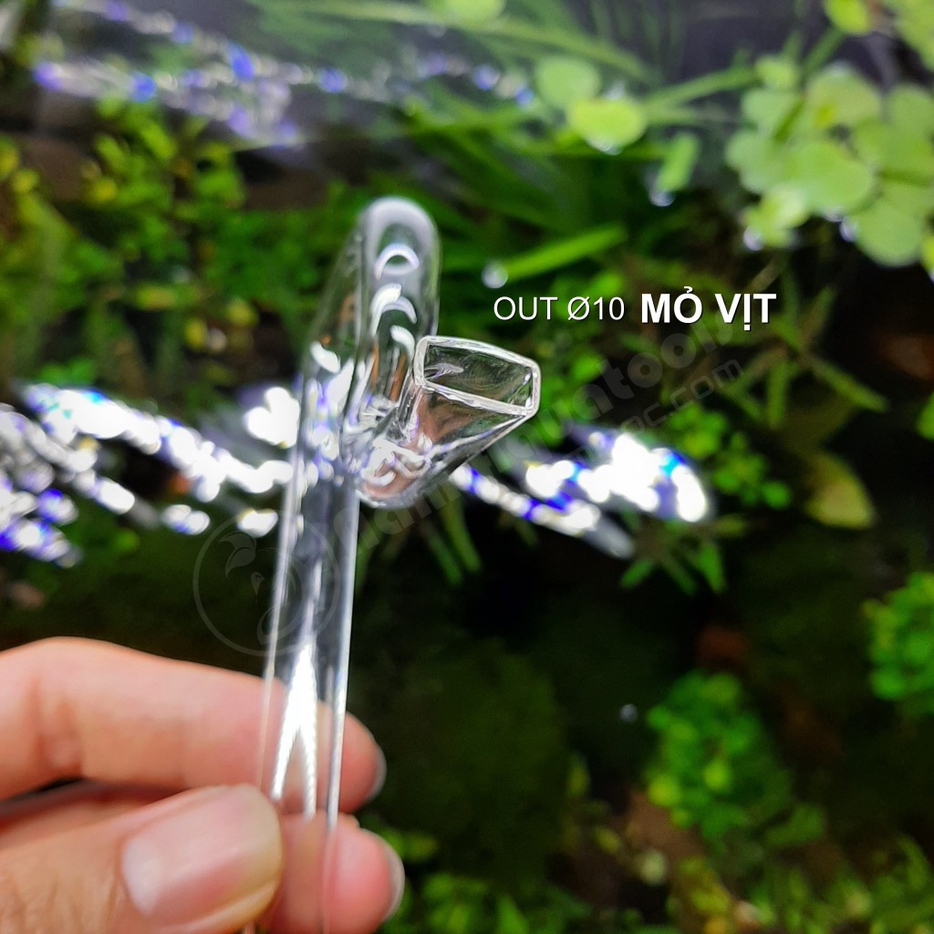 IN-OUT Thuỷ Tinh F10 Dành Cho Bể Nano, Shallow Tank | In-Out Fi 10 Cho Lọc Thùng Ngoài