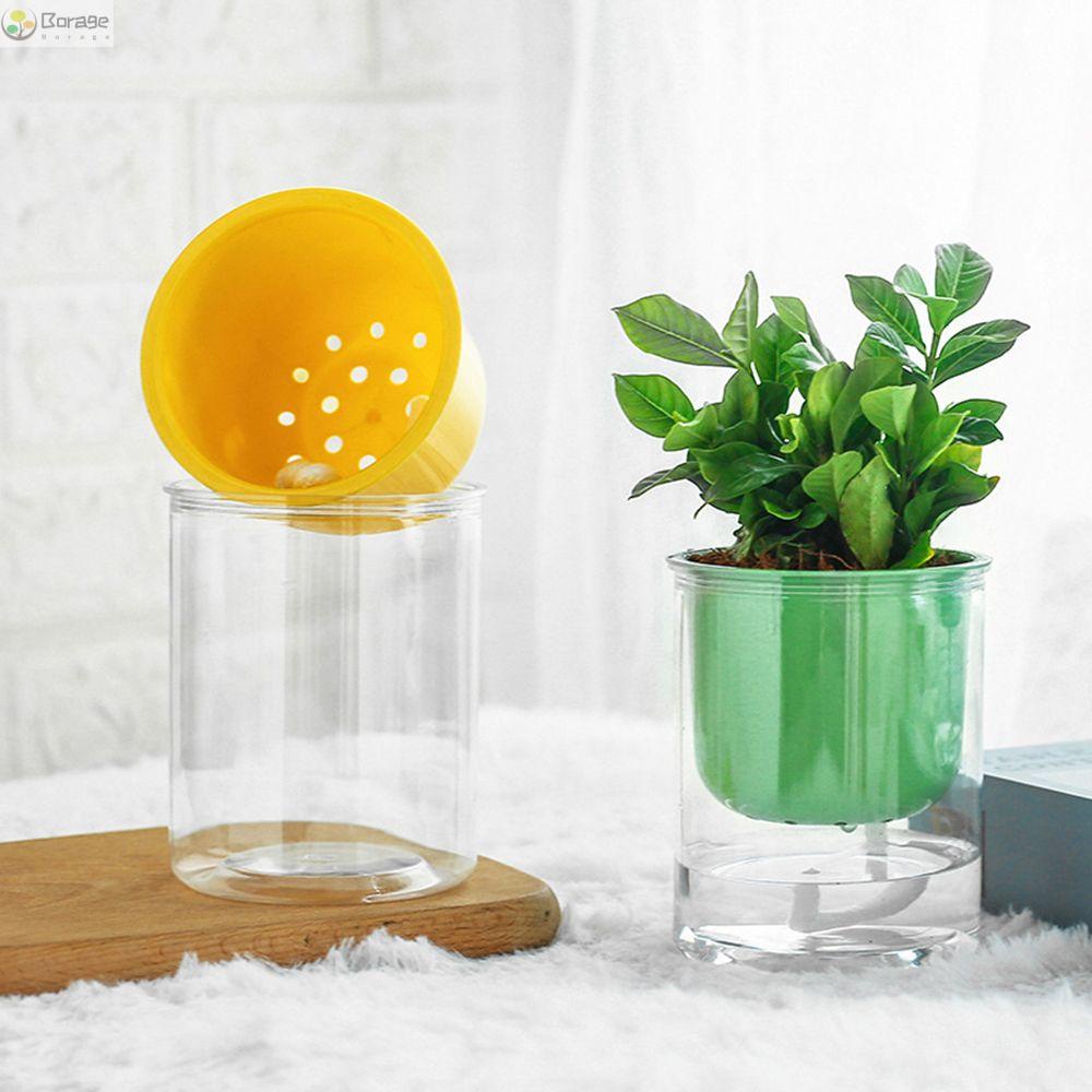 Chậu Trồng Cây Bằng Nhựa Trong Suốt Nhiều Màu Sắc Sáng Tạo