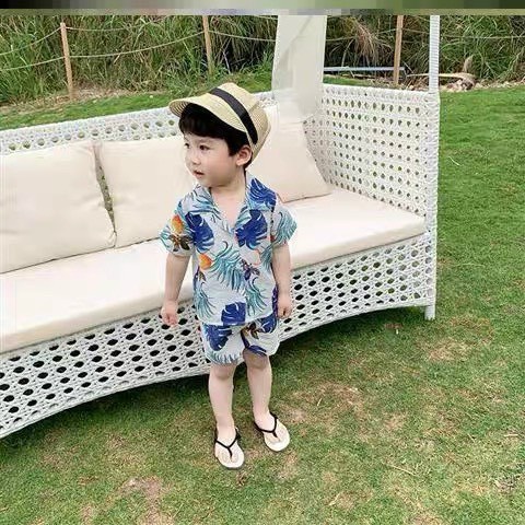 Bộ Quần Áo Đi Biển Cho Bé Trai Và Bé Gái Cao Cấp Chất Vải Thoáng Mát Bộ Cộc Tay Bé Trai Bộ Đũi Áo Cổ Tàu Hoa Lá Mát Lạnh