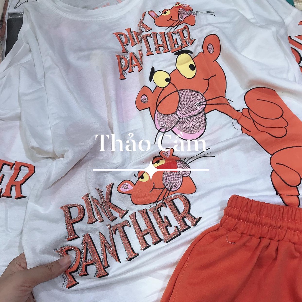 Bộ báo đính đá