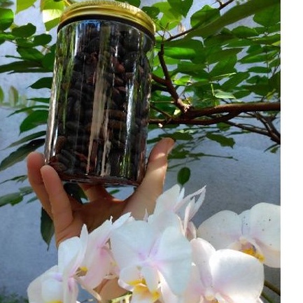Cacao nguyên chất