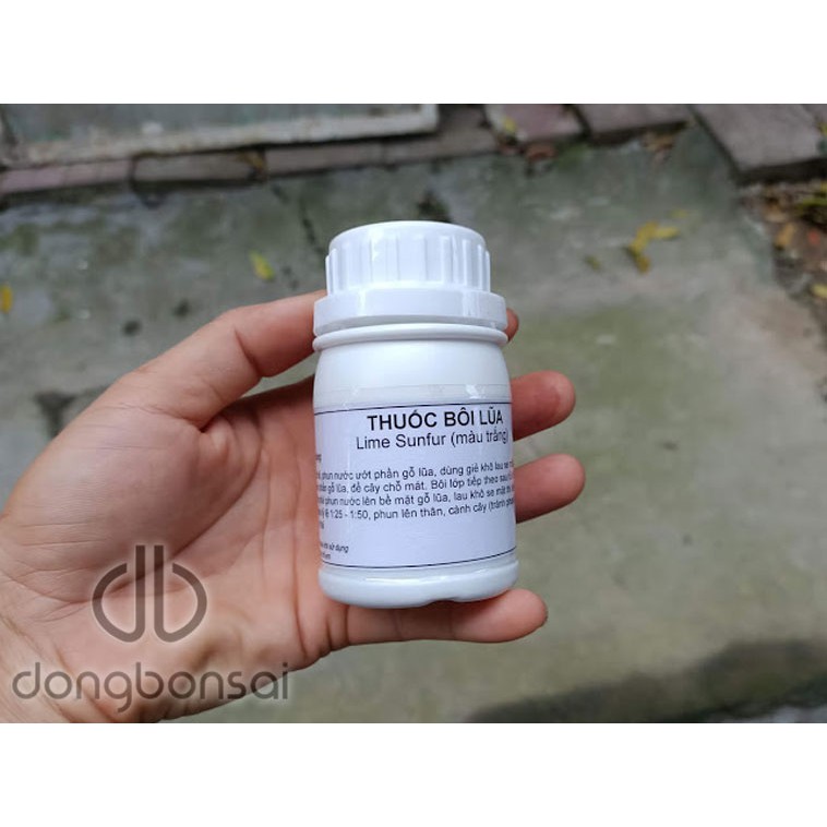 Dung dịch bôi lũa bonsai bảo vệ tạo màu thẩm mỹ cho lũa