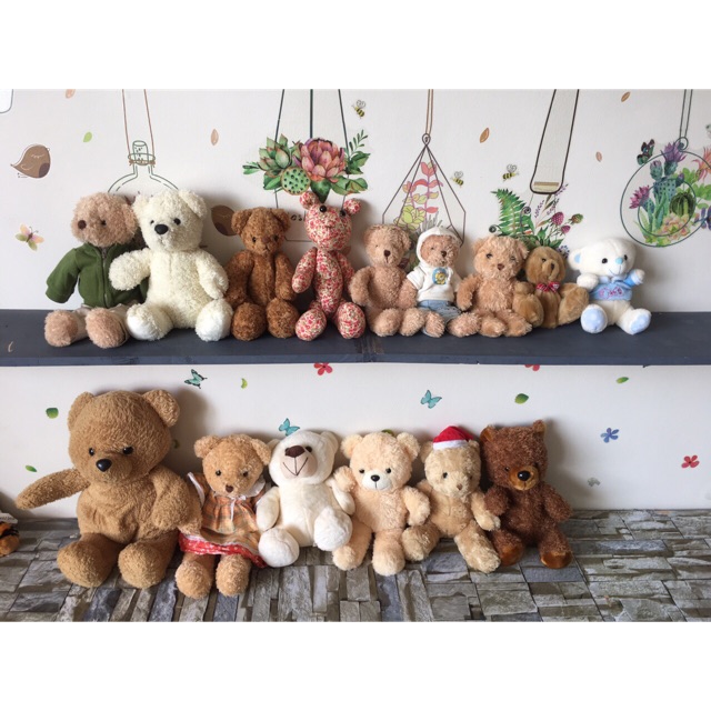 Set 15 gấu bông teddy 15-40cm