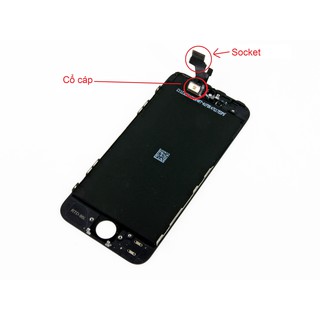 Màn hình iphone 5