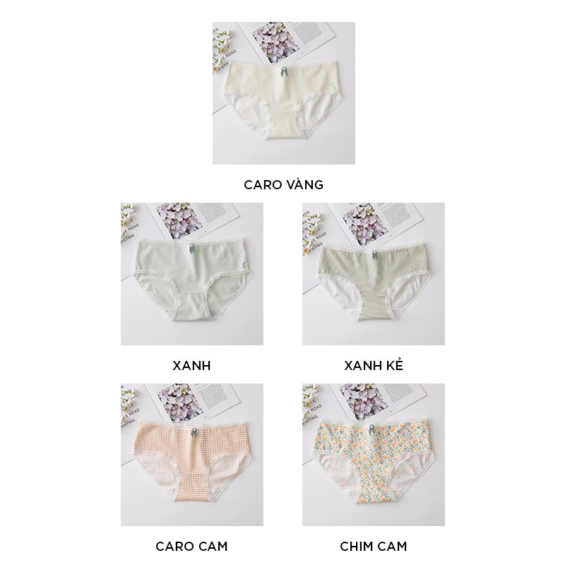 Quần lót nữ cotton cao cấp kháng khuẩn in hoạ tiết co giãn 4 chiều QL59 | BigBuy360 - bigbuy360.vn