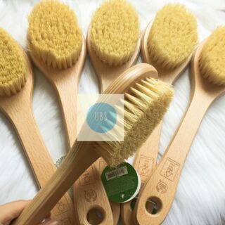 Bàn chải chà khô body The Body Shop Cactus Long Handle Brush