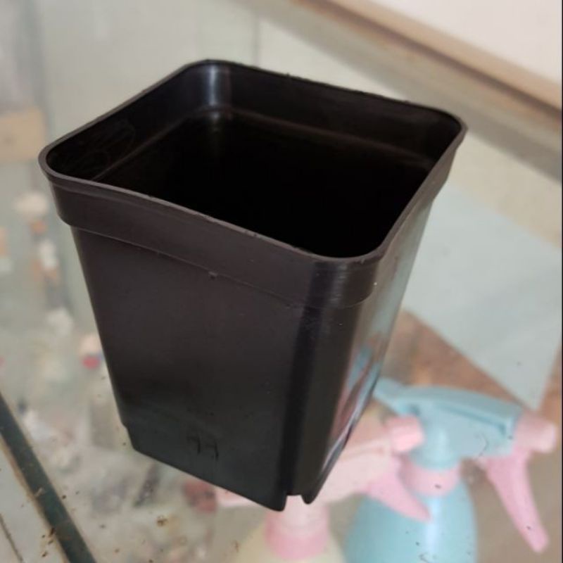 Siêu Rẻ -  Chậu trồng sen đá ,xương rồng, cây giống nhựa đen 7*7 cm