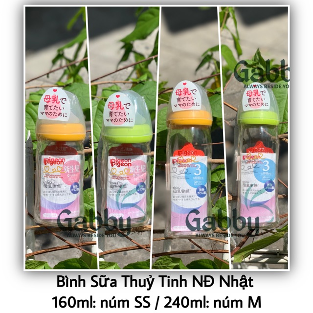 100% AUTH - BÌNH PIGEON NỘI ĐỊA NHẬT THỦY TINH 160 ML 240ML