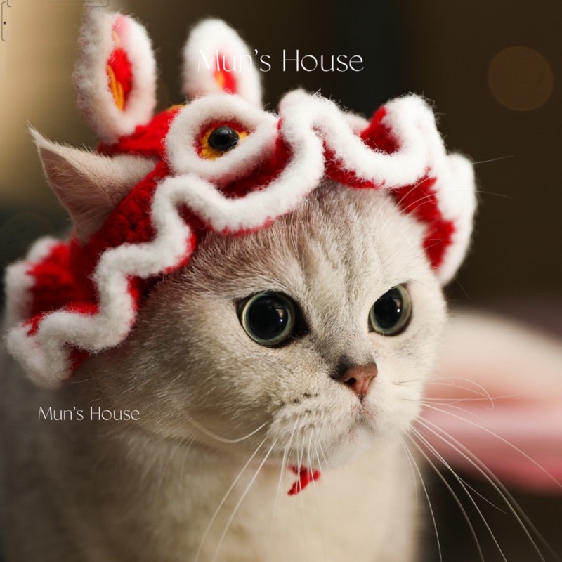 Hàng có sẵn - Mũ len Kỳ lân cho thú cưng đón Trung Thu - Tết