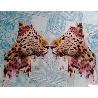 Sticker ủi nhiệt lên vải  hoạ tiết báo cho thân áo