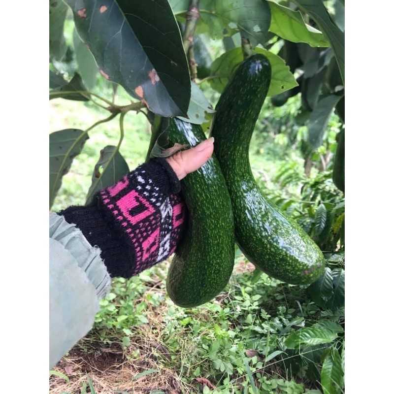 BƠ 034 BÉO DẺO -  CHỈ GỬI CÁC TỈNH GẦN - INBOX | BigBuy360 - bigbuy360.vn